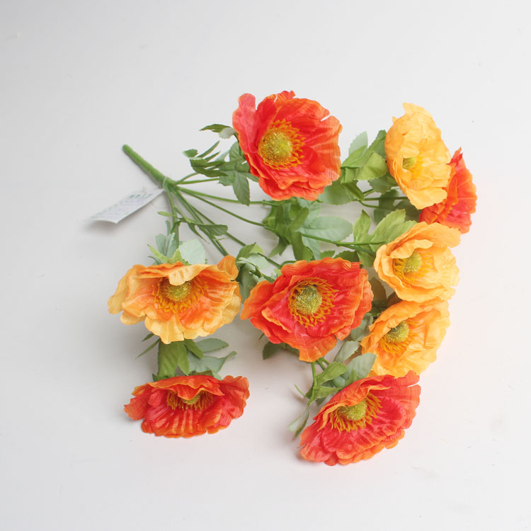 【名称】：9头樱花